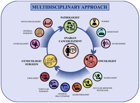 what is multi disciplinary approach.